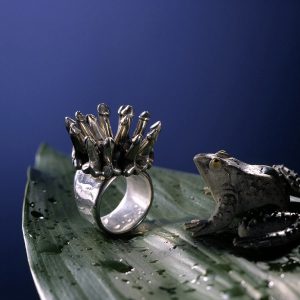 Unikat Ring aus Silber | Ring Krönung | Schmuck als Kunstwerk von Anina Caracas | Düsseldorf